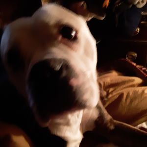 Meet your Posher, Kerry